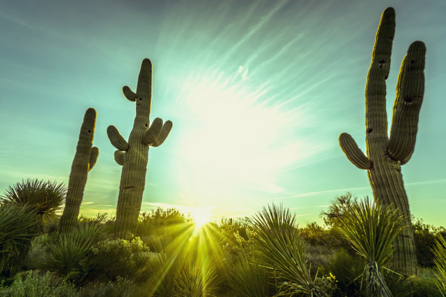 APS reveals its long-awaited 15-year energy plan for Arizona customers ...