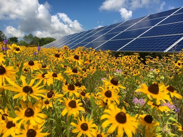 Oakwood community solar