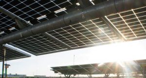 Bifacial PVEL-001