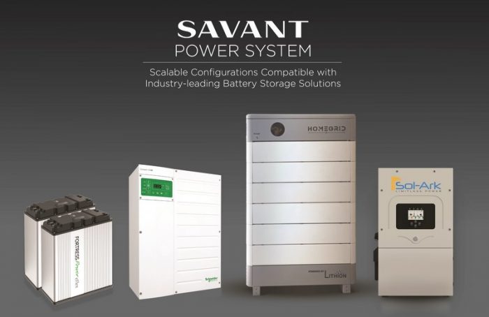 Savant battery storage options