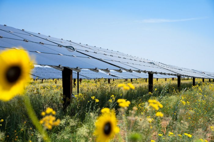 dominion-energy-to-acquire-longroad-s-108-mw-foxhound-solar-project