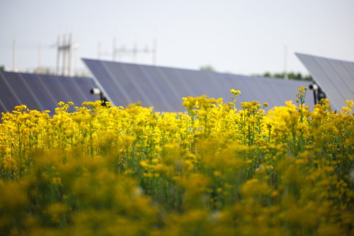 Lightsource Bp Energizes 152 5 MW Solar Farm In Indiana With Verizon 