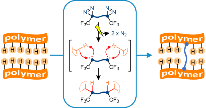 BondLynx chemical diagram