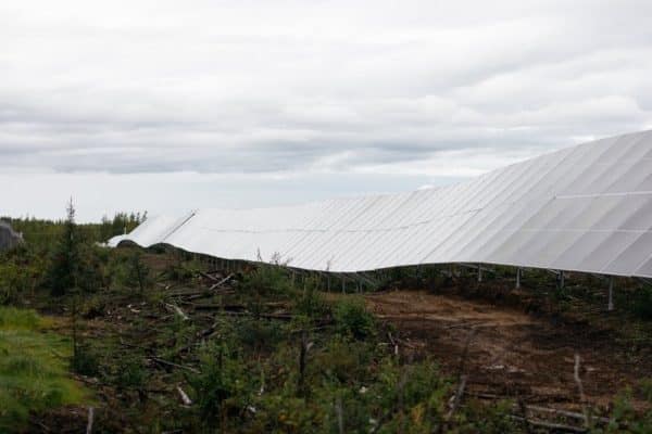 Solve utility-scale solar challenges with a little collaboration (and a lot of engineering)