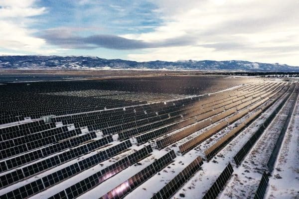 Greenbacker energizes 240 MWdc Appaloosa utility-scale project