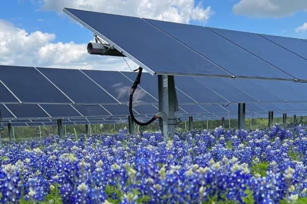 Lightsource bp secures $348 million for utility-scale projects in Texas | Solar Financing Spotlight