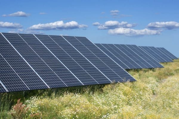The case for pollinator habitats in solar parks