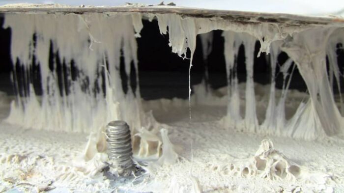Butyl roofing failure