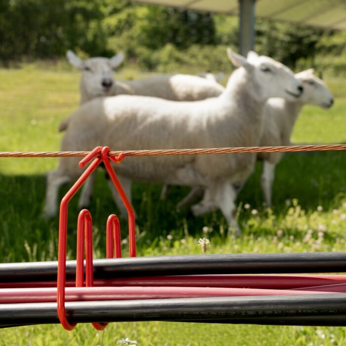 CAB Solar cable hangers