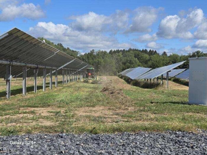 Lightstar Renewables Plains Road agrivoltaics first in New York