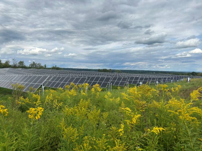GSPP's Bee-Friendly Hof Community Solar Projects