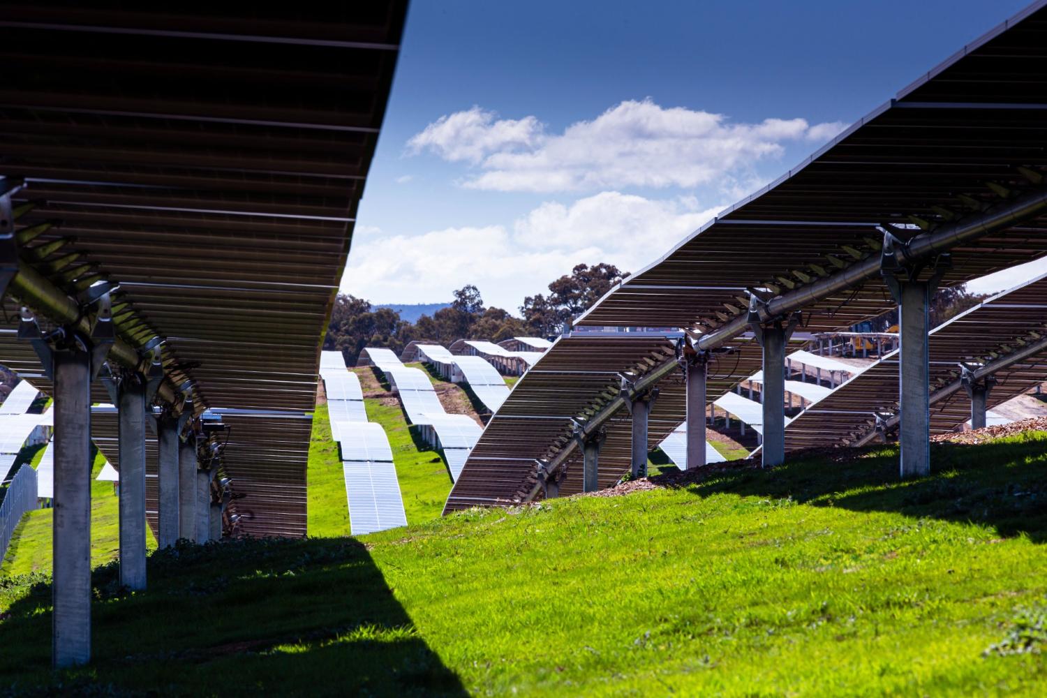 Pile height verification on Nextpower solar project site.