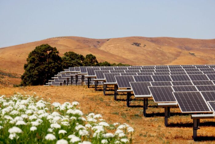 Verifying ground mount pile height on  Ampacity solar site. 