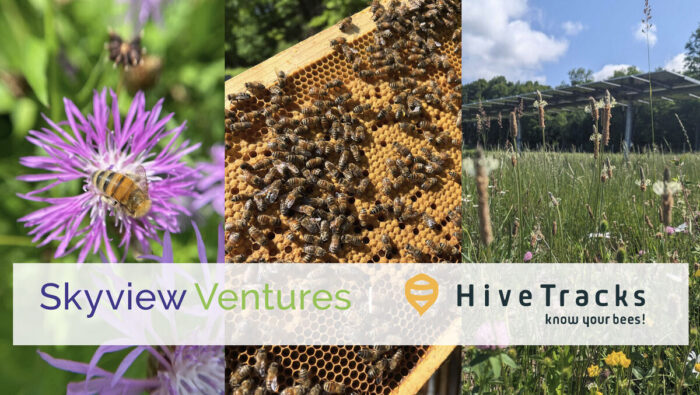 Skyview HiveTracks solar bees