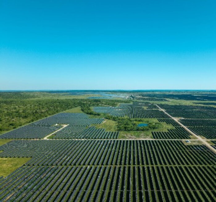 Repsol Pinnington Solar