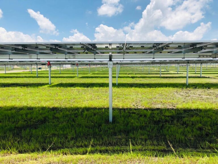 Soltec expands solar tracker presence in U.S. market with new president ...
