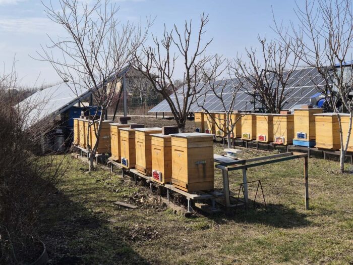 solar apiary