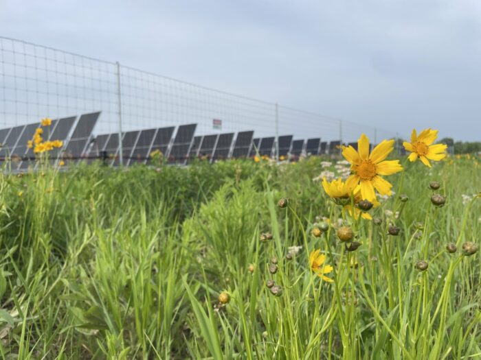Lumberton Solar Project Texas